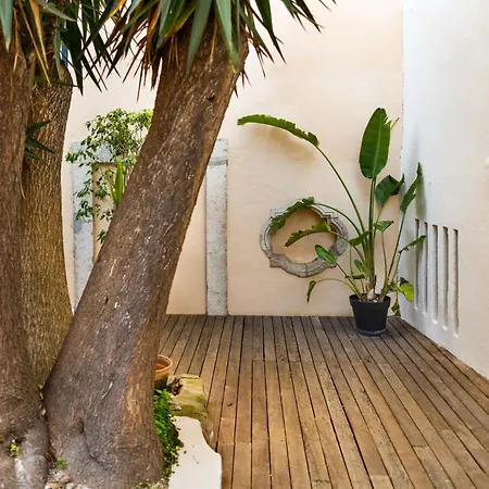 Apartment Pool & Garden In The Heart Of *