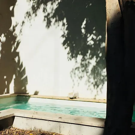 Apartmán Pool & Garden In The Heart Of Lisboa